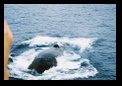 Blowhole!